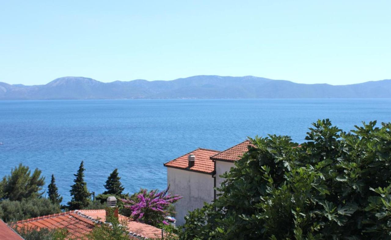 Vila Stefan Hotel Подаца Екстериор снимка